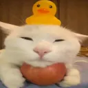 .tvanh_
