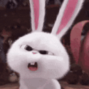 moopaoez
