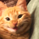 amytann