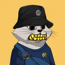 cnfteds