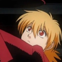 avatar lilium bulbiferum