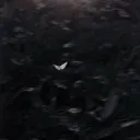 luz._.luna