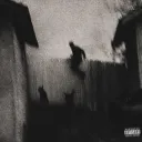 highonxtasy avatar