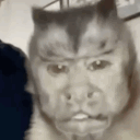 silly_monke01