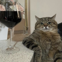 avatar 𝕷𝖆𝖗𝖆