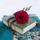 nasima205