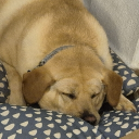 avatar ~《Turtle》~