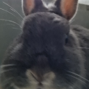 avatar ~《Turtle》~