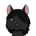 pily1293 avatar