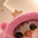 kamsai.