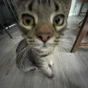 mustardbest