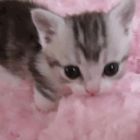 avatar mimi 𝜗𝜚 ࣪˖