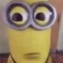 azerixxxv0id_ avatar