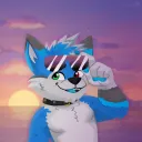 wolgrenmatty