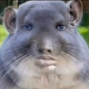 avatar 𝕴𝖘𝖆𝖆𝖈 ☄