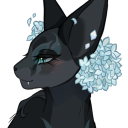 avatar ⋆.𐙚 ̊ shae ♡