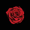 _lapirate