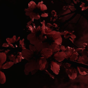 avatar xQ#)(*@!#lkjnhasd