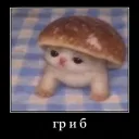 warpharin