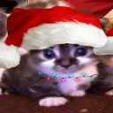 christmas car's Avatar
