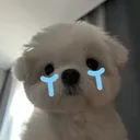killmeplss_s
