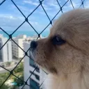 ricardo_coutinho_da_silva avatar