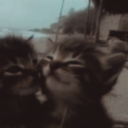 avatar 𝓟𝓪𝓲𝓰𝓮𝜗ৎ.