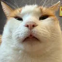 Аватар portalmd