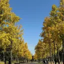 heiligerholynathan6595 avatar