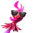 chicken8064