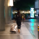 avatar কাঠগোলাপ🌼