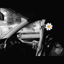 avatar কাঠগোলাপ 🌼 (portese 📖)