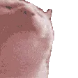 .yasinn_