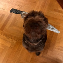 1typhon#0004's avatar