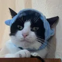 aranza_uwu avatar