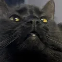 _shifter_