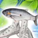 kiyarai