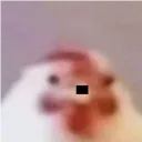lxbutnoob