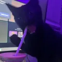 duckaybtw
