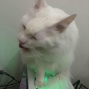 Discord Avatar