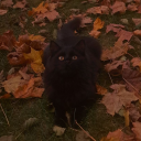 avatar Ͳìղց𝟙⊘