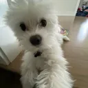 beamstylz