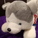 starr_001