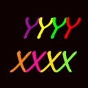 yyyyxxxx