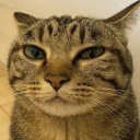Discord Avatar