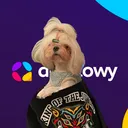 annie_appflowy