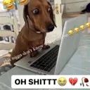 imsoglad.com