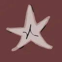 amirxgr