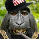 kingkong02122