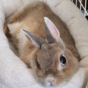 avatar просто босс